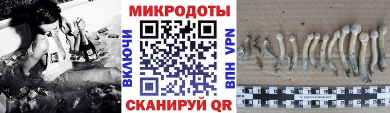 Псилоцибиновые грибы прущие грибы  Отрадное 